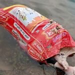 बोरी में मिली लाश से फैली सनसनी, पत्थर खदान के गड्ढे में तैरती मिली शवयुक्त बोरी