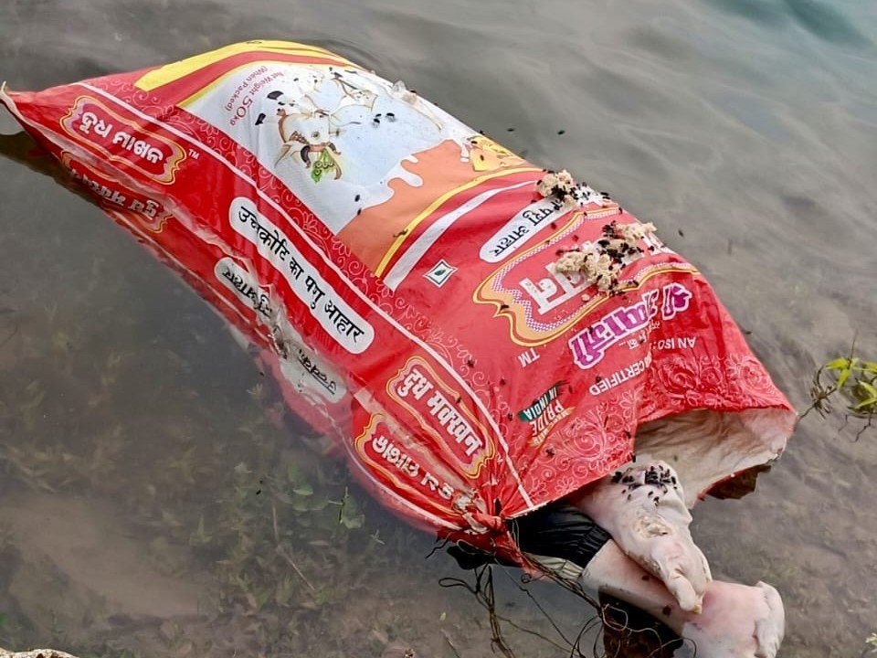 बोरी में मिली लाश से फैली सनसनी, पत्थर खदान के गड्ढे में तैरती मिली शवयुक्त बोरी