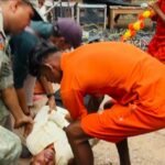 भोरमदेव में पुष्पवर्षा के दौरान हादसा: हेलीकॉप्टर की तेज हवा से गिरा LED पैनल, युवक घायल